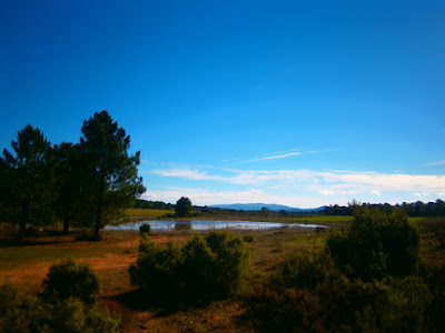 las lagunas de talayuelas, autor, miguel alejandro castillo moya