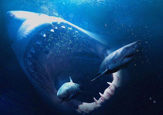 The Crypto Blast: Modern Megalodon Attacks?