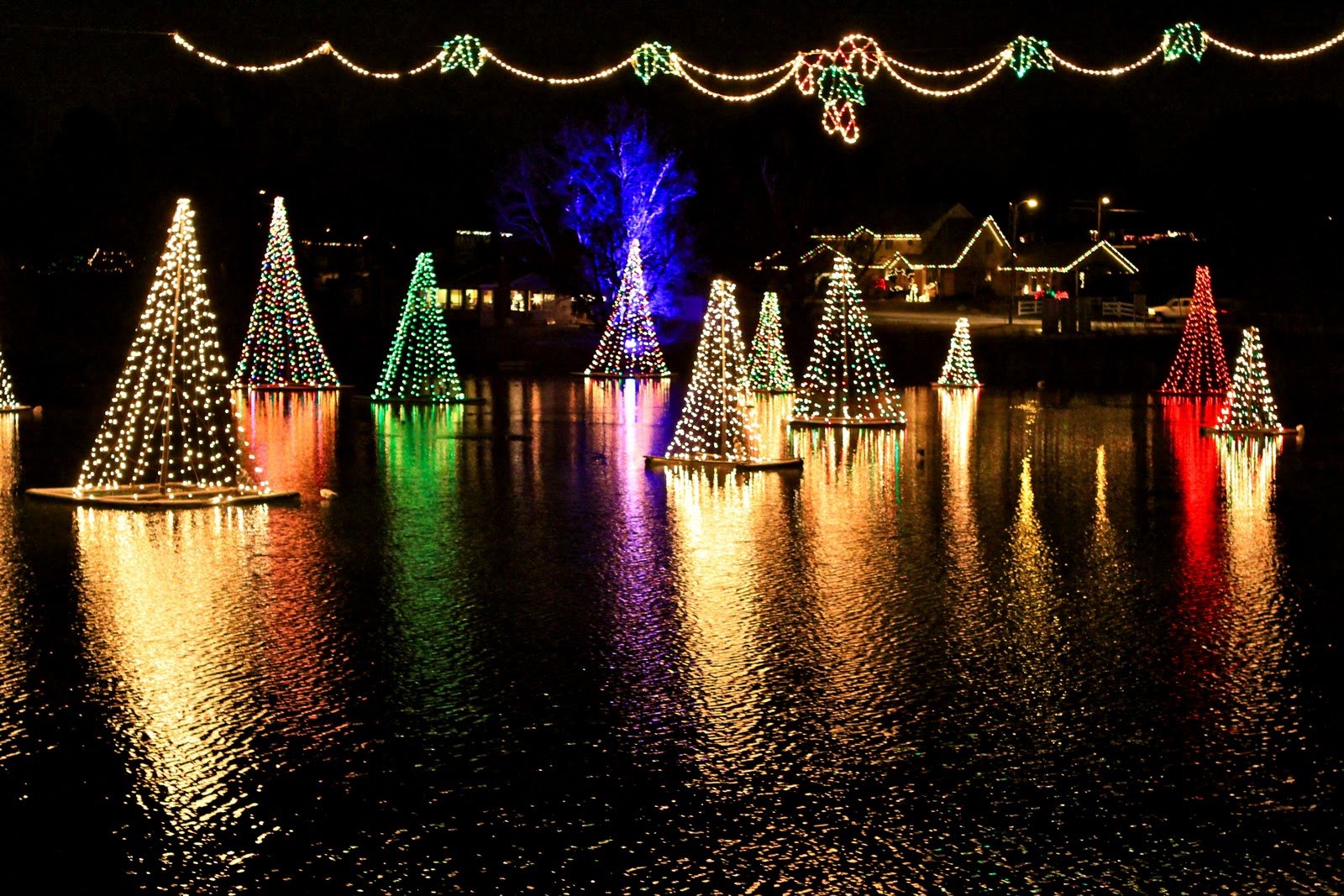 Life of Tracy Christmas Lights