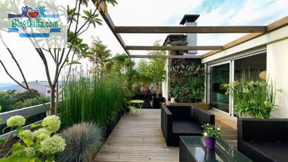 Tips berkebun di rooftop rumah Pilih Jenis Tanaman yang Sesuai