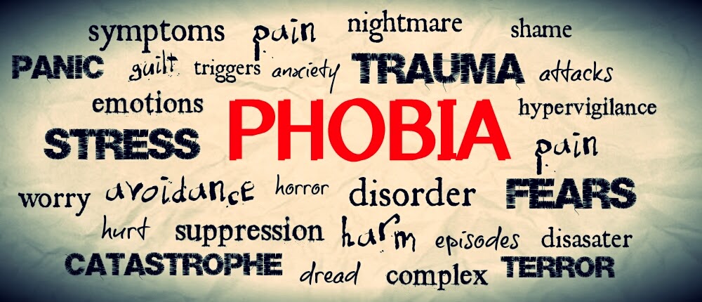 A phobia is an fear of something. What is Phobia. Fears and Phobias Proverbs. What are your Phobias?.
