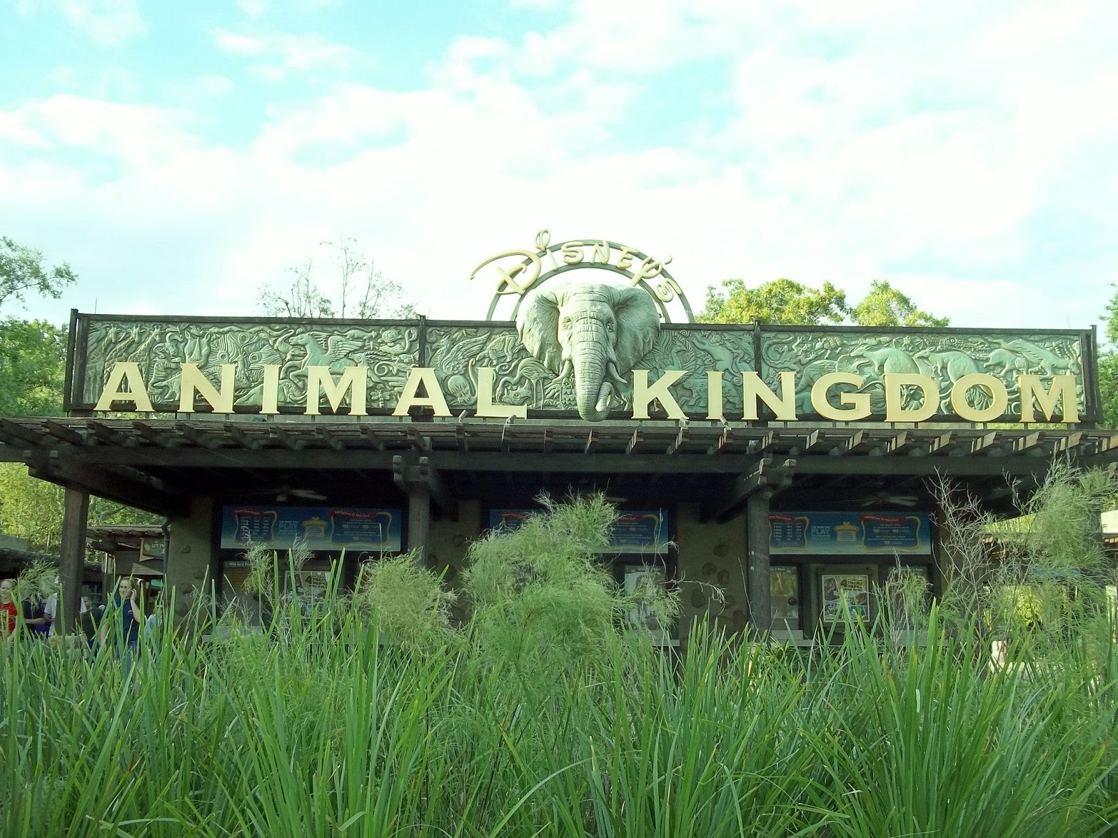 The Experience: Internship with Disney’s Horticulture : May 2013