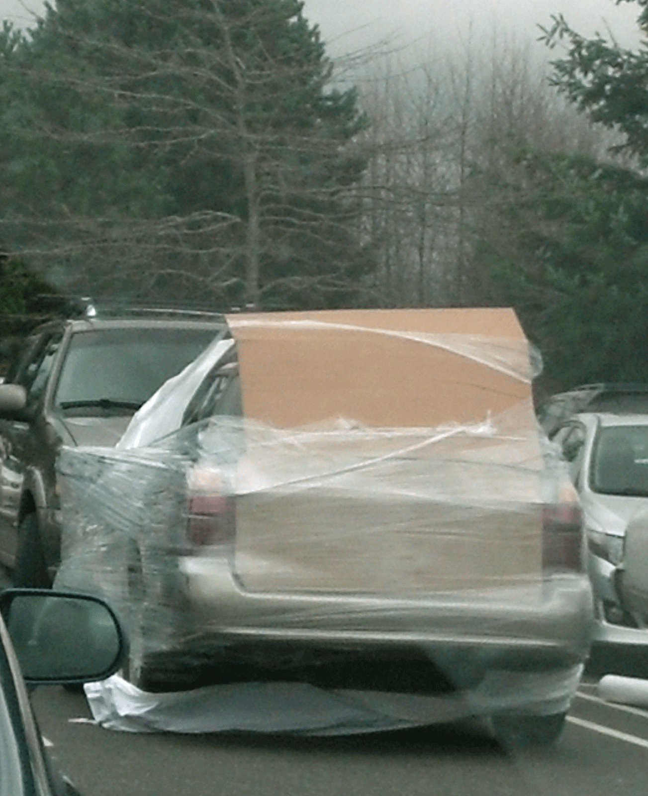 My View of the Honeypot Saran Wrap and What is on my Mind