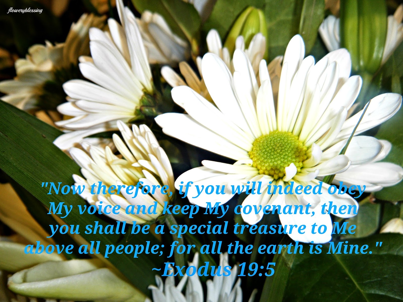 flowery-blessing-now-therefore-if-you-will-indeed-obey-my-voice-and