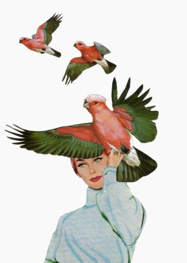 Dadadreams' Original Collage Art Bird Collage Art