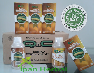 Obat Herbal Asam Urat QnC Jelly Gamat Obat Herbal Asam Urat QnC Jelly Gamat