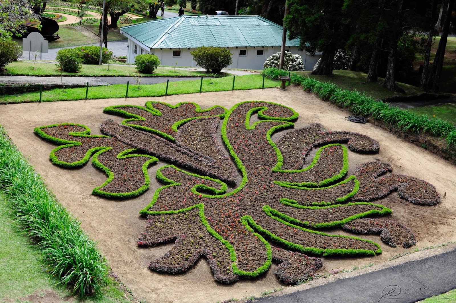 Flower garden шри ланка Flower garden шри ланка