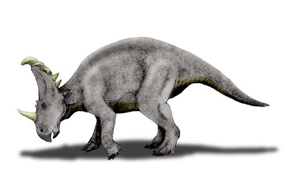 Sinoceratops