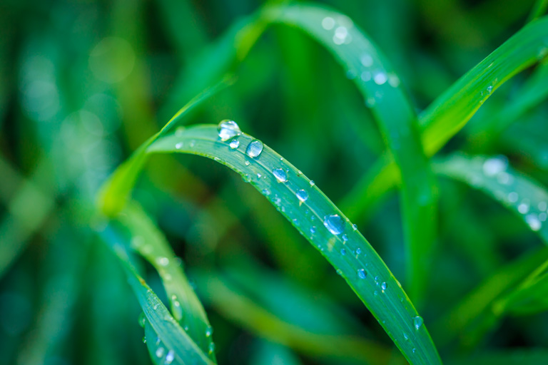 Eintagsliebe Liebeslyrik, Liebesgedichte, Liebespoesie EINEN SCHRITT