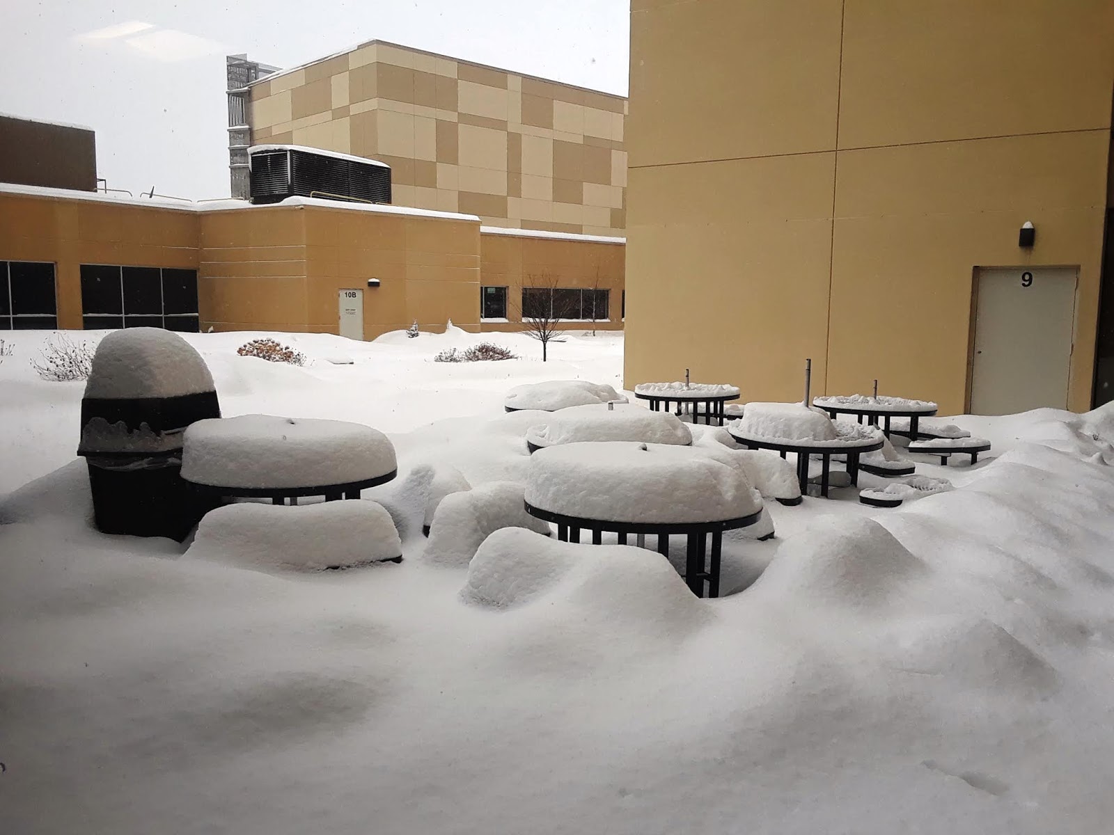 The Wild Reed: A New Snowfall Record