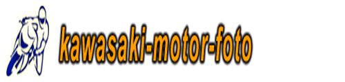 Kawasaki Motor