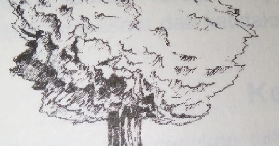 Contoh Soal Tes Tertulis Pt Gudang Garam Barisan Contoh