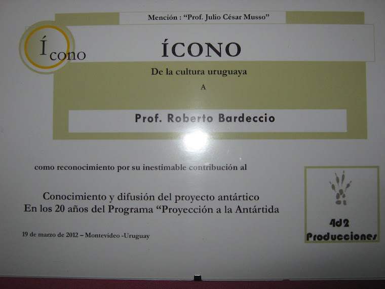 Diploma Premio "Ícono 2012"