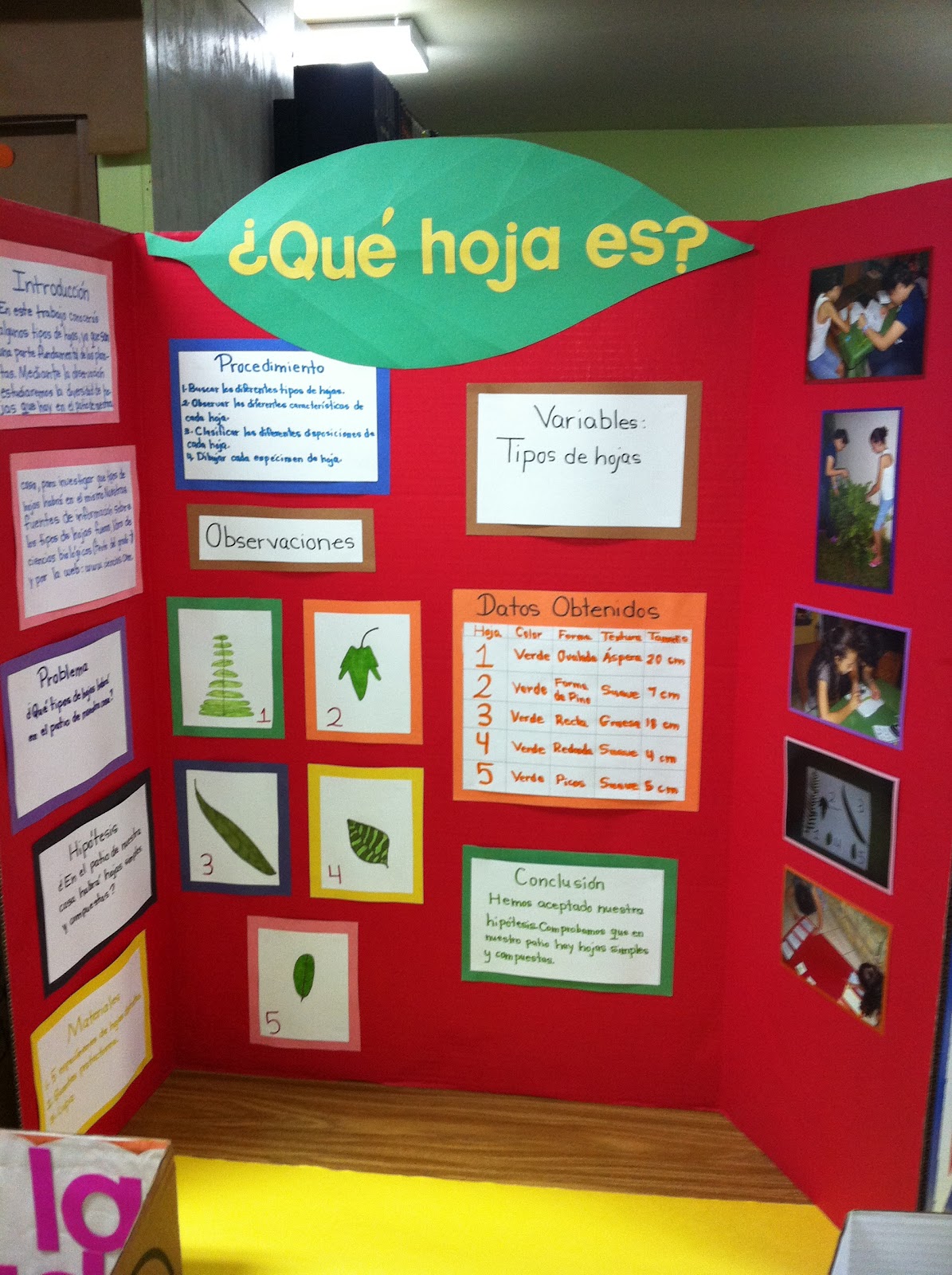 Biblioteca Francisco Frías Morales Feria científica