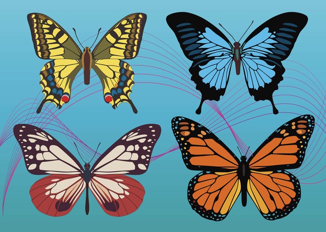 Free Colorful Butterfly Graphics Vectors