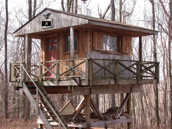 What not to miss in the tree house