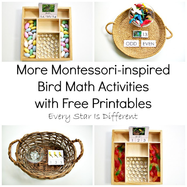 Montessori-inspired Bird themed Math Activities with Free Printables