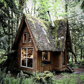 02-Side-and-Back-of-the-Cabin-Jacob-Witzling-Recycled-Architecture-with-the-1-Bedroom-USD7500-Micro-House-www-designstack-co