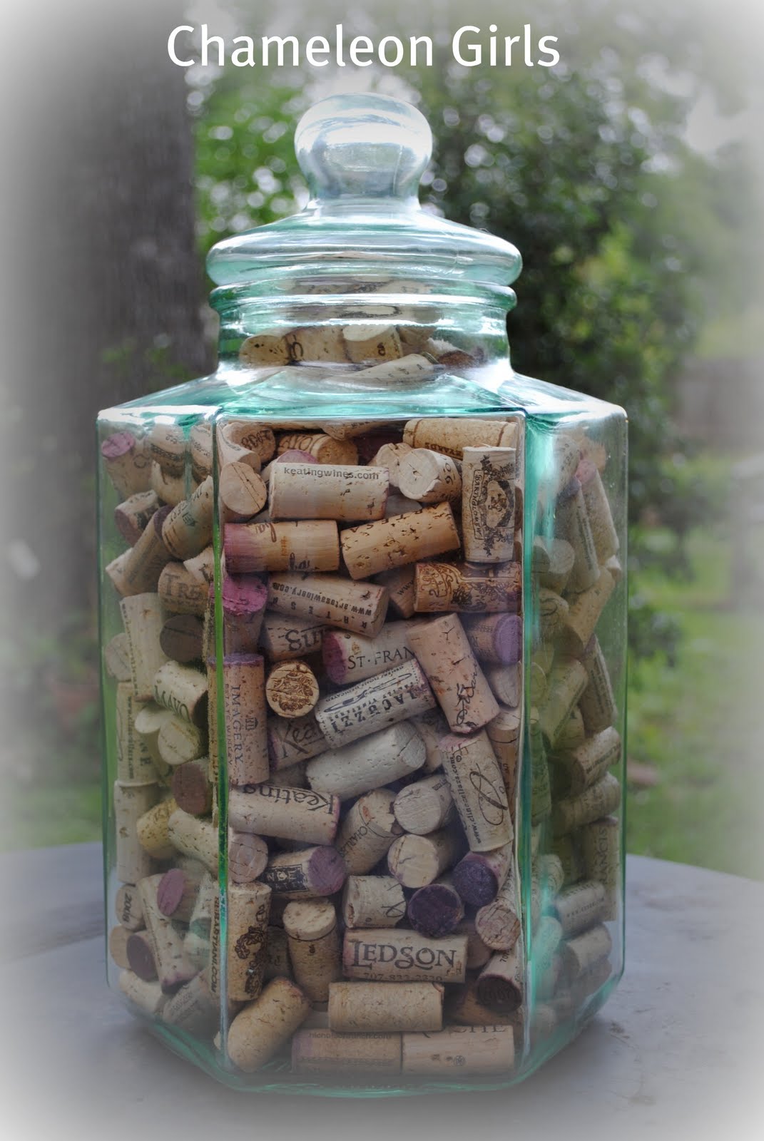 Someday Crafts Guest Blogger Chameleon Girls Wine Cork Cork Board