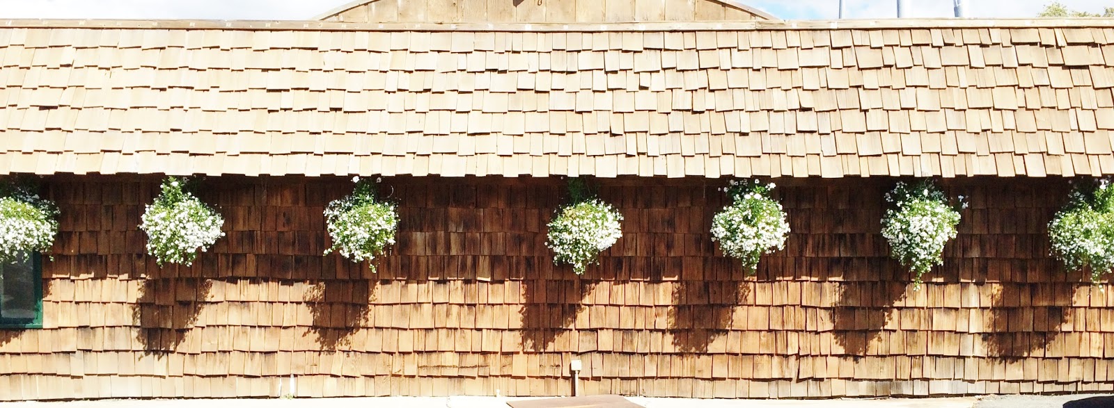 Swallowed Fly Crusades Hanging Baskets in Anchorage