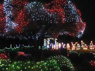 Lighted figures framed by trees and bushes draped with colored lights, Vasona Lake County Park, Los Gatos, California