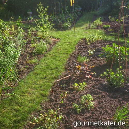 Kräuter-Garten