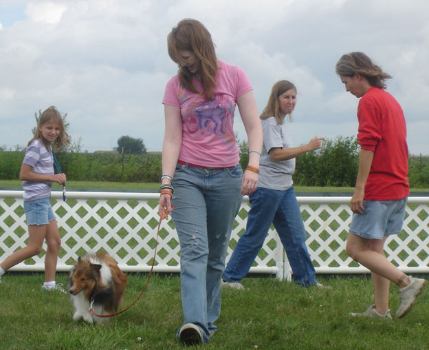 The Five Dog Blog: Living Life Simply Messy: Tuesday Training Tips: CGC