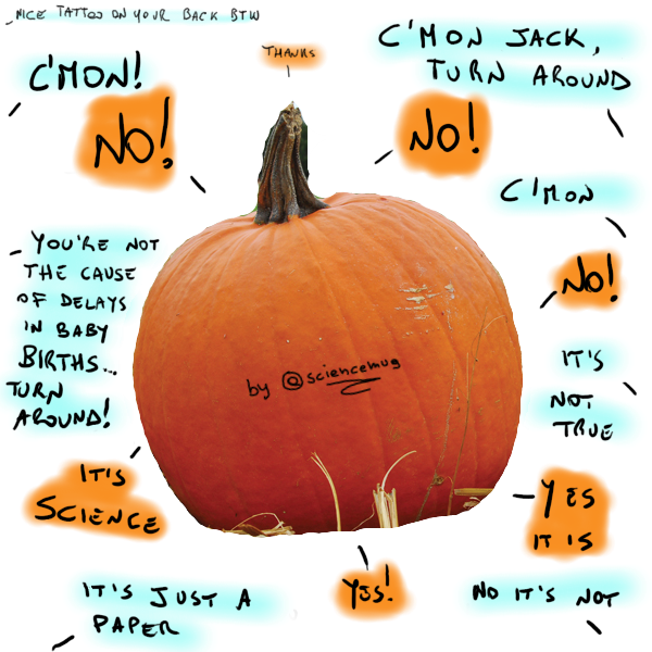 The back of a cultural stereotype called pumpkin AKA Jack-o'-lantern (by @sciencemug)
