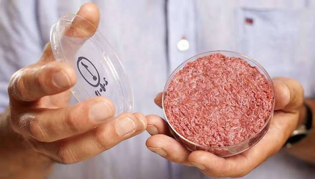 Η ΕΕ επέτρεψε την βρώση κλωνοποιημένου κρέατος! - Μα τι τρώμε τελικά;  