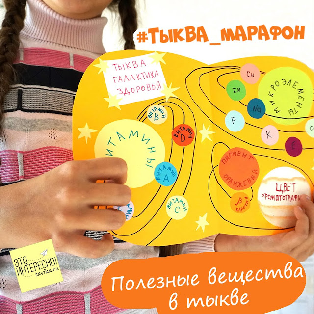 Книжка-пособие по ботанике для детей своими руками Полезные вещества в тыкве