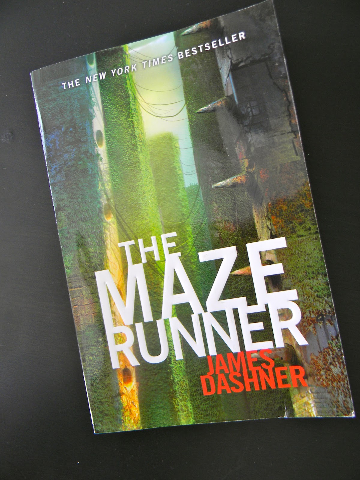 12 Steps to Fabulous Book Review The Maze Runner