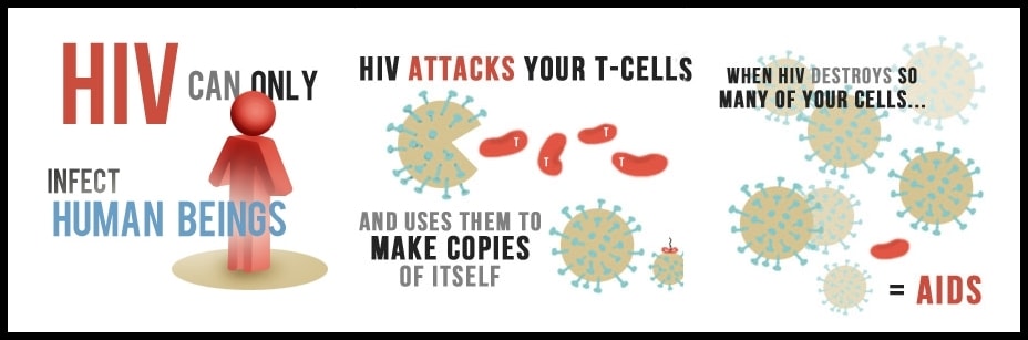 Hivaids How Hiv Spreads And Evades The Immune System -7036