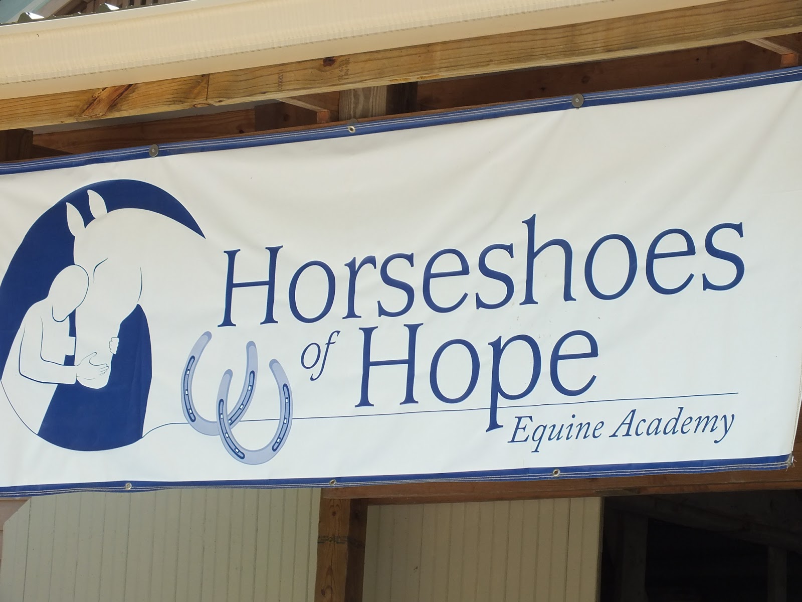 Butterflies Gourds and More Horseshoes Of Hope Equine Academy