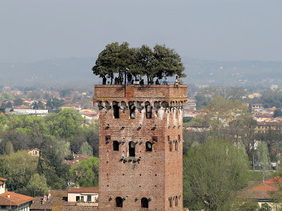 Torre Guinigi 