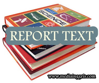 Jenis jenis teks bahasa inggris - kinds of text - Pengertian report teks