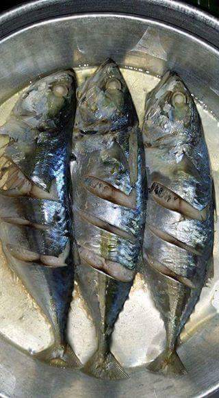 Coretan Hidup Ikan Kembung Kukus Air Asam