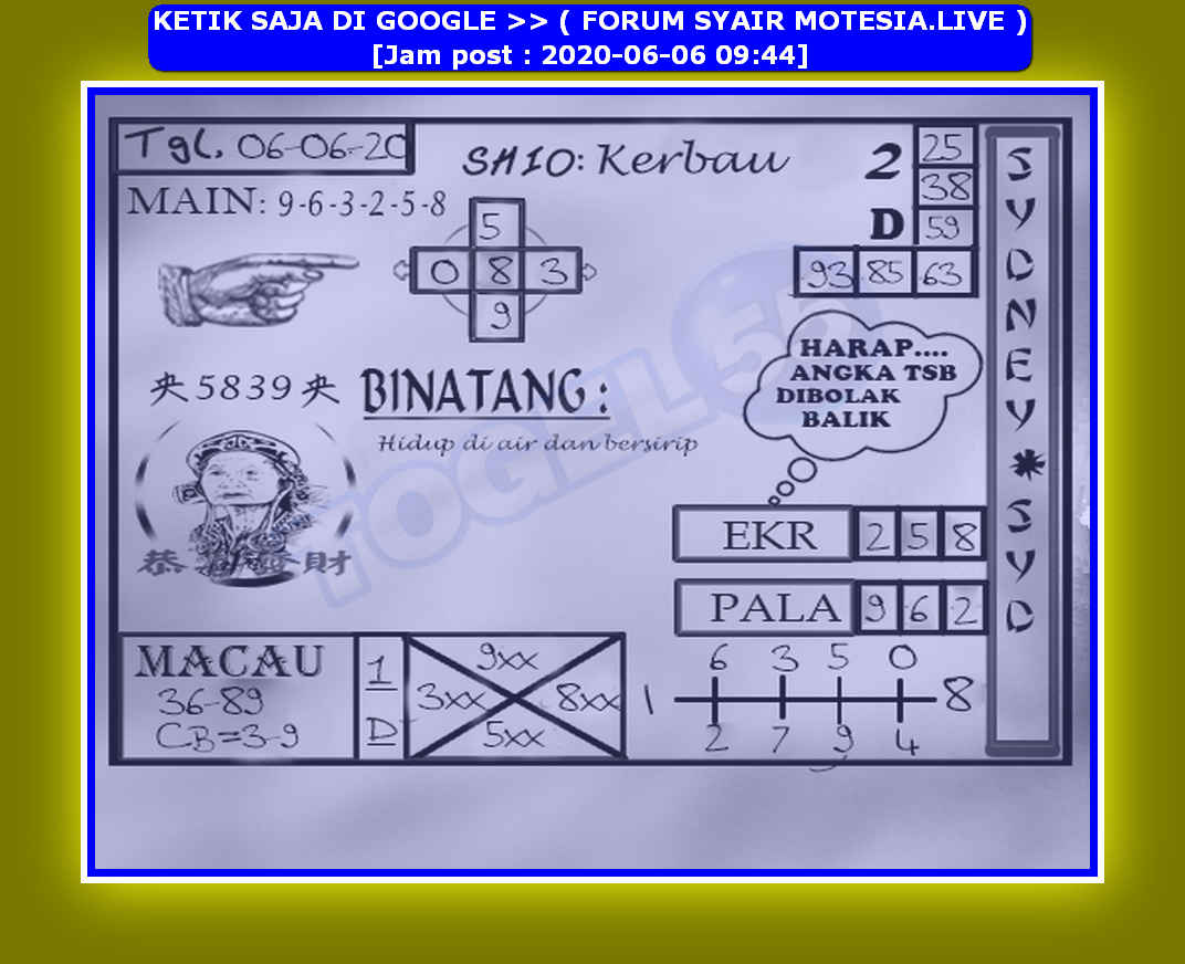 forum syair meloditogel