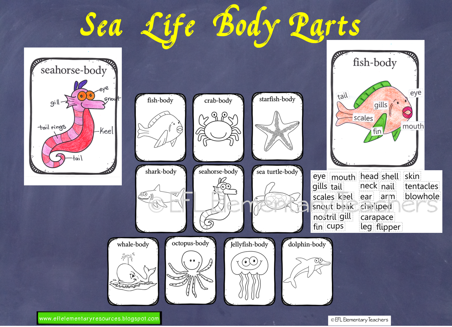 EFL Elementary Teachers Sea, ocean or Underwater Animals Unit for Elementary ESL