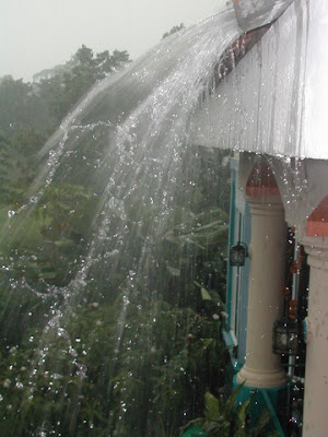 tropical rainstorm