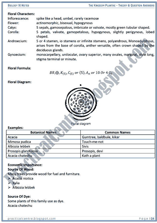 Kingdom Plantae - Theory And Questions Answers - Biology XI