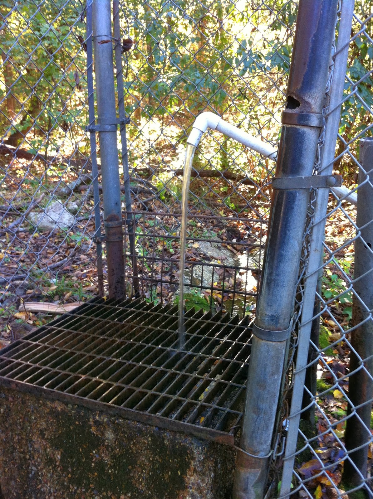 We Love Texas Spring