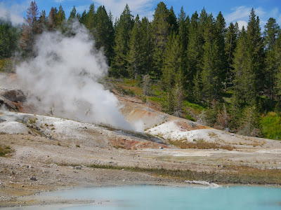 Back Basin  Yellowstone Wyoming Steamboat Geyser