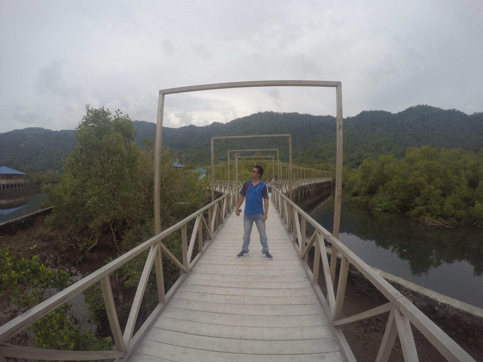 Wisata Mangrove Tahuna ~ Wisata Syarta - Stevenly Takapaha