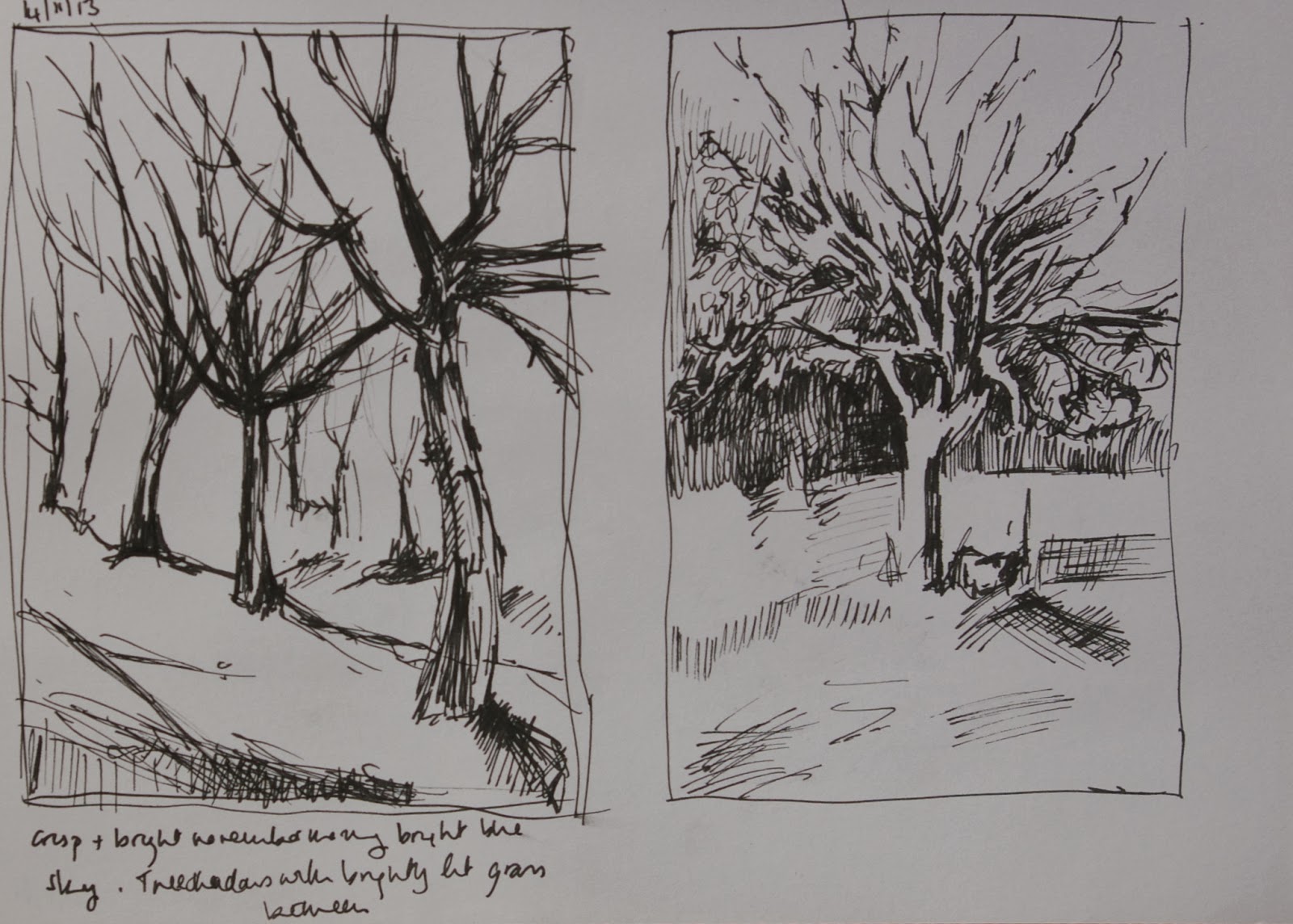 Aylish's OCA Learning Log: Project Drawing Trees: Study of Several Trees