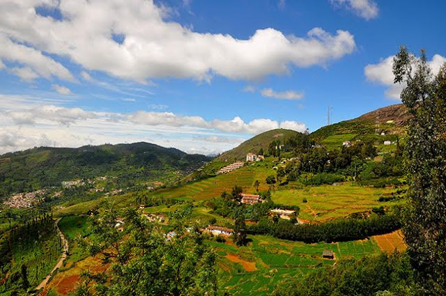 Ooty: Best Hill Stations in South India for Honeymoon