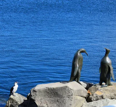 Penguin sculptures and a cormorant in Hobart Tasmania