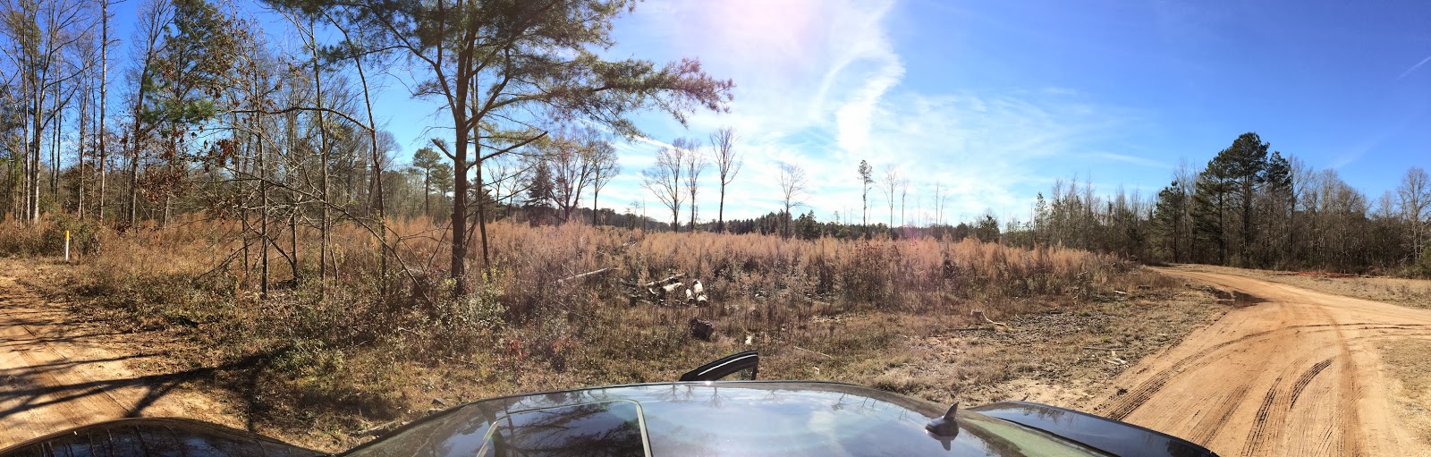 c.rushing The Pachuta Connection