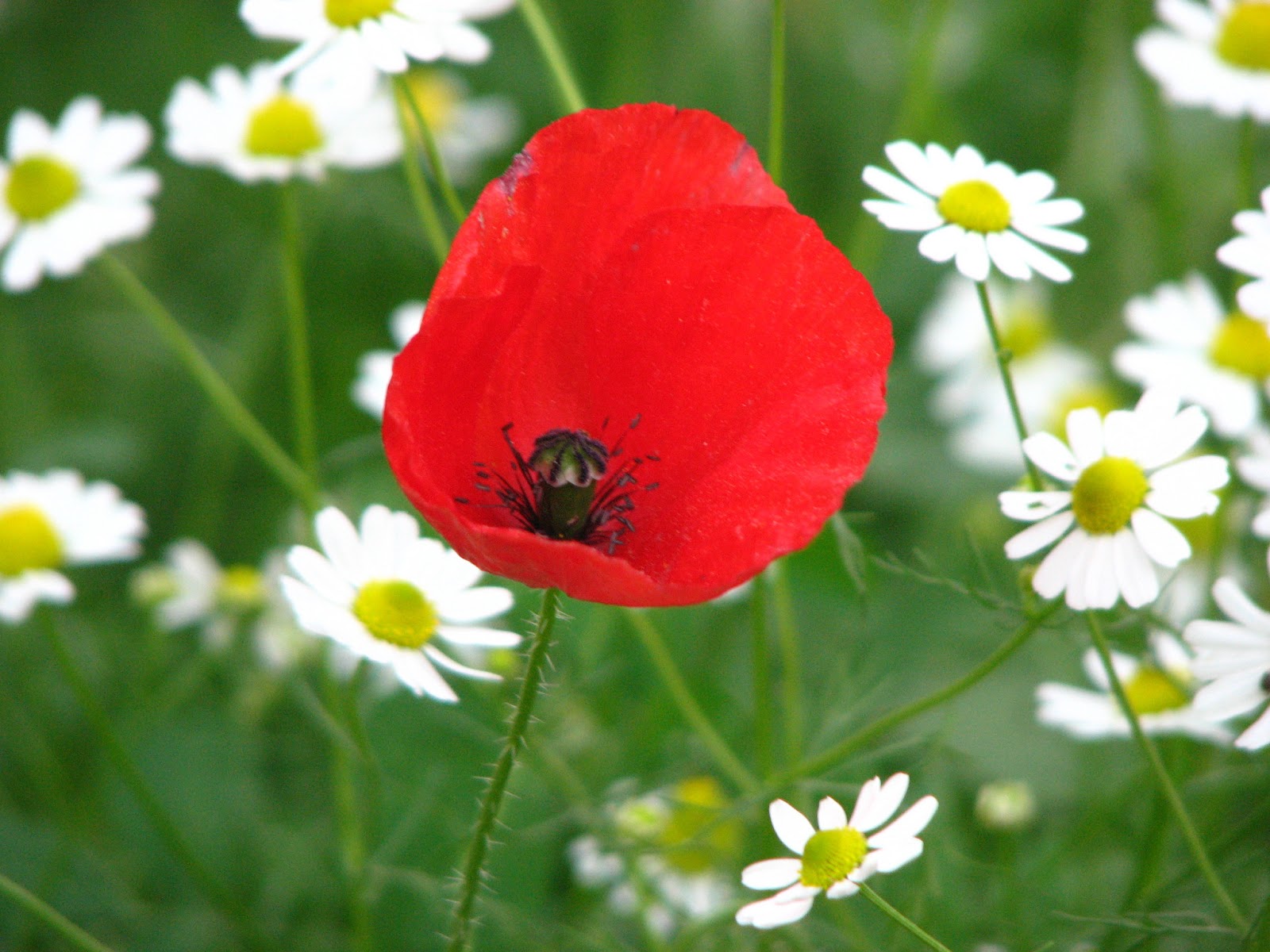 Created by lst: Хубави цитати