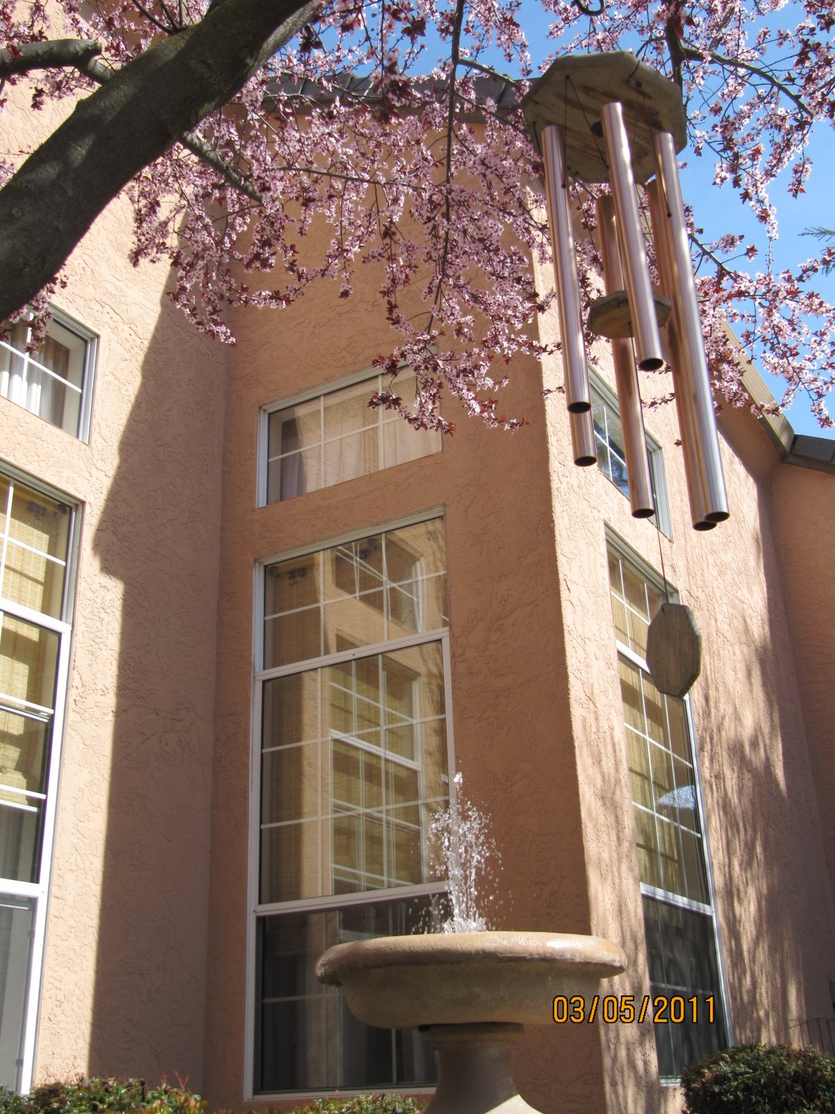 Irene Chan, MS, REALTOR Modesto CA Real Estate Agent Spring Time