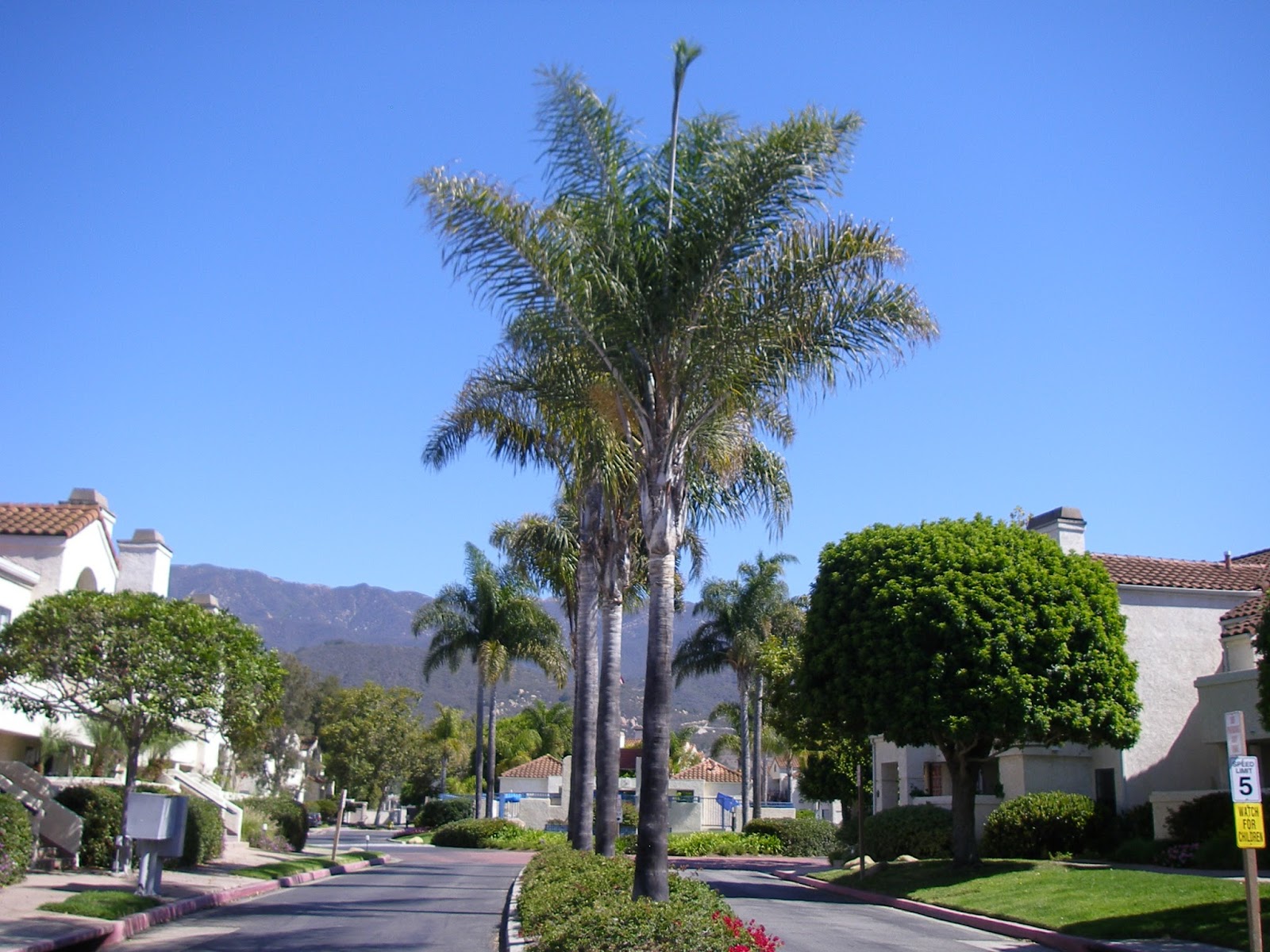 August 2013 Karen Musser Blog